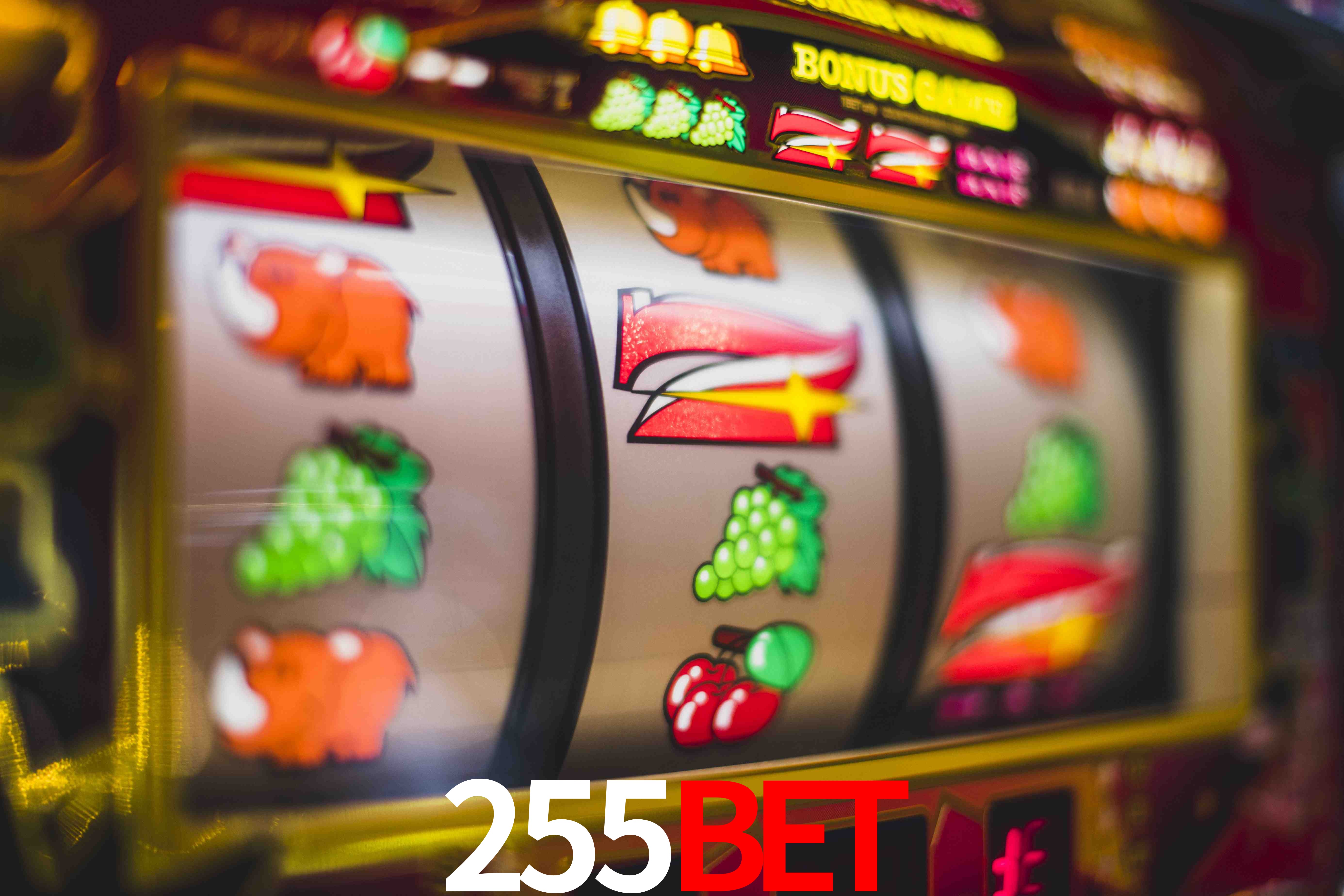 Crash Games Statistics 255bet
