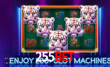 Platform Technology 255bet